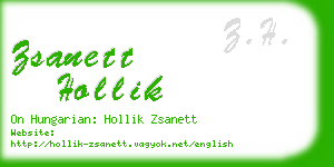 zsanett hollik business card